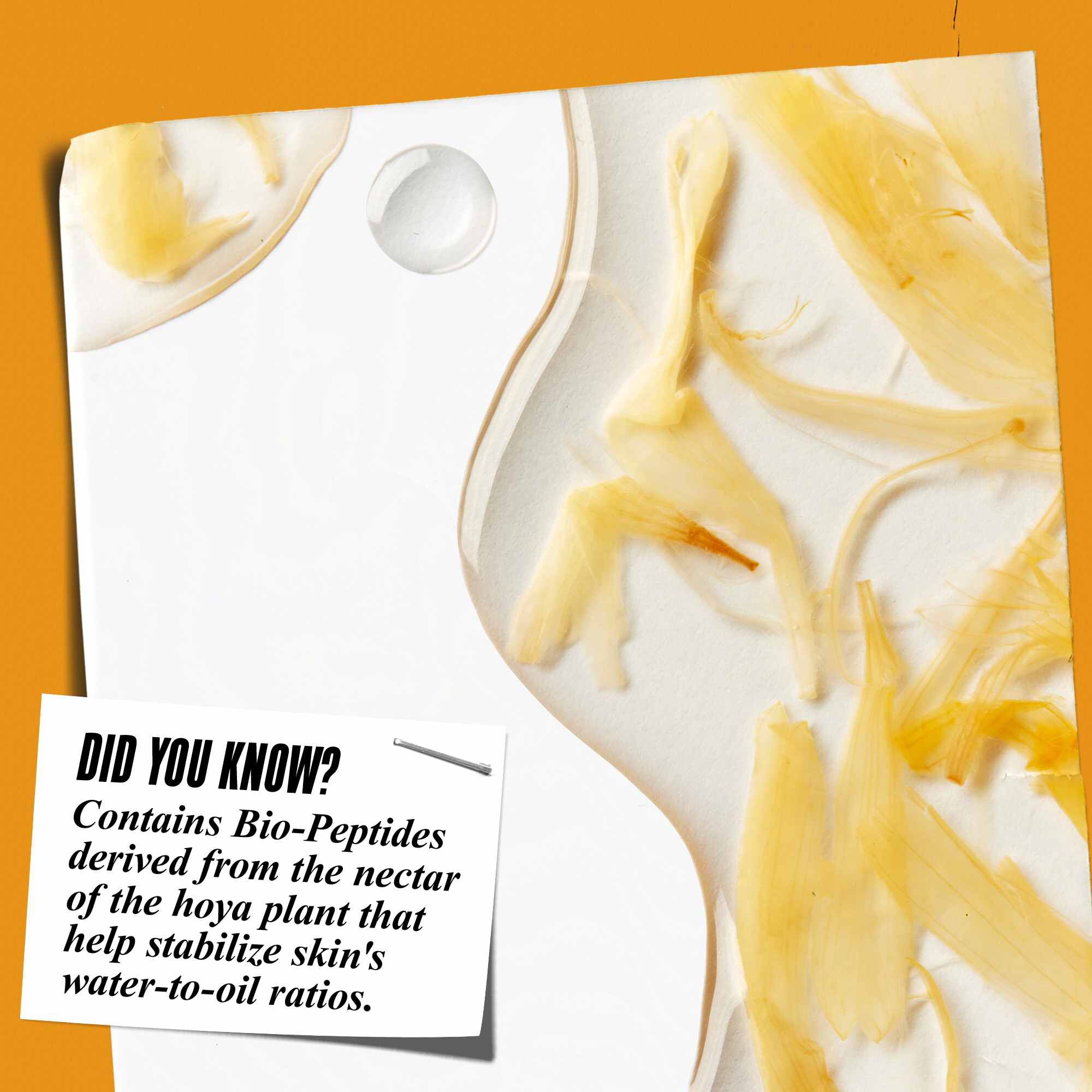 Detail textury Calendula Herbal-Extract Toner s okvětnimi listky měsičku a textem: „Věděli jste? Obsahuje bio-peptidy ziskane z nektaru rostliny hoya, ktere pomahaji stabilizovat poměr vody a oleje v pleti.“