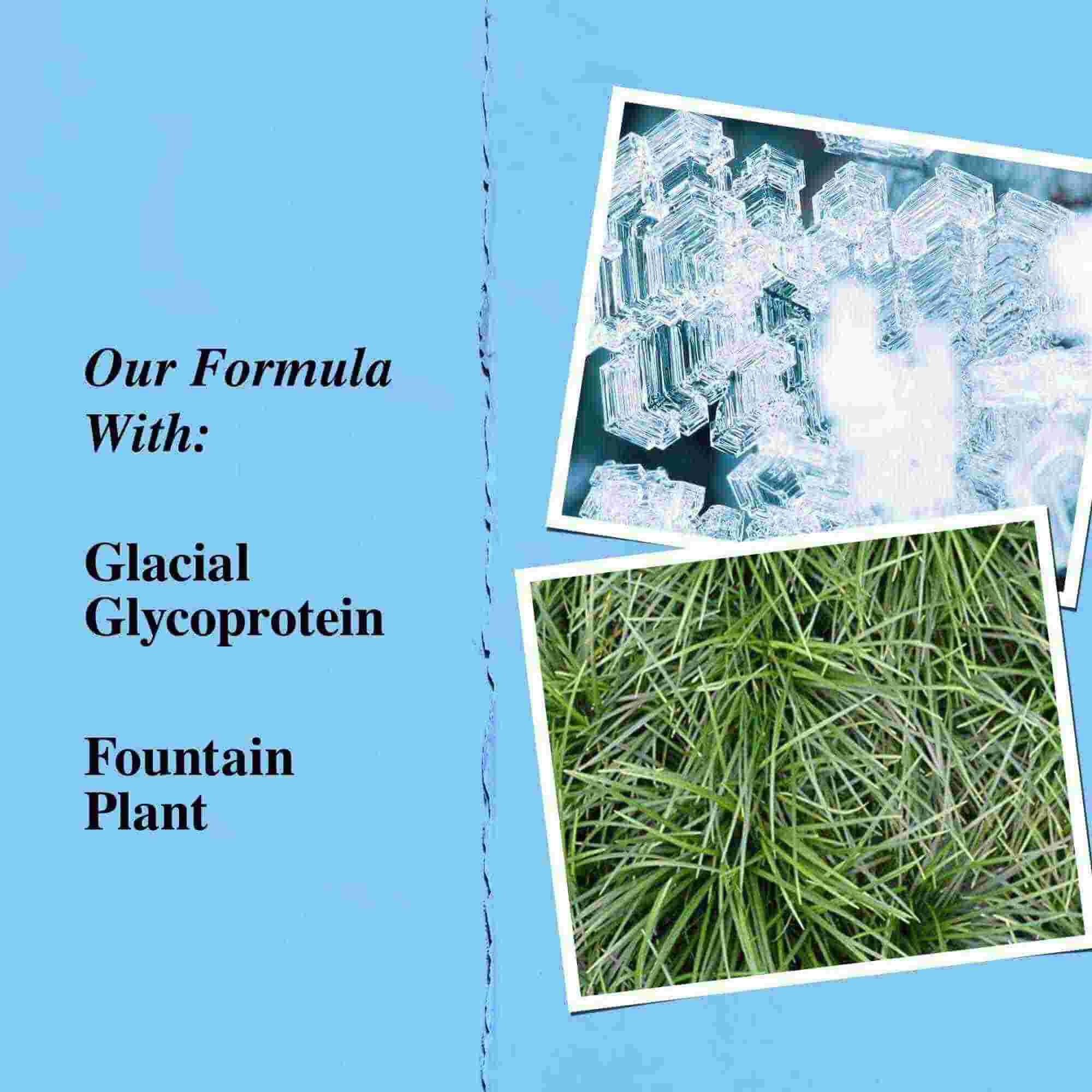 Grafika kličovych složek: ledovcovy glykoprotein a rostlina Ophiopogon japonicus (fountain plant).