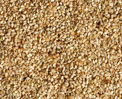 Close-up of a textured surface covered with small, light-colored sesame seeds.