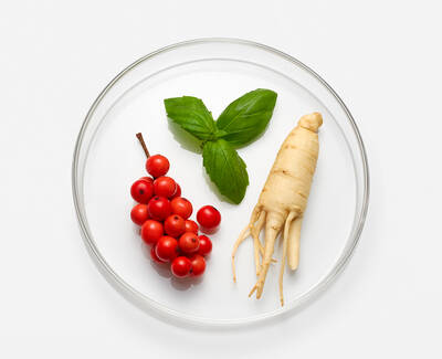 A clear glass plate containing a sprig of fresh basil, a cluster of red berries, and a piece of ginseng root, all positioned on a white background.