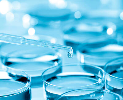 A close-up of a dropper releasing a drop of liquid over multiple petri dishes filled with a blue solution.