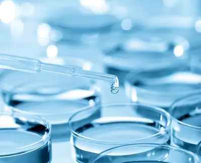 A close-up of a pipette dropping a liquid onto several clear petri dishes, with a blue tint throughout the image.